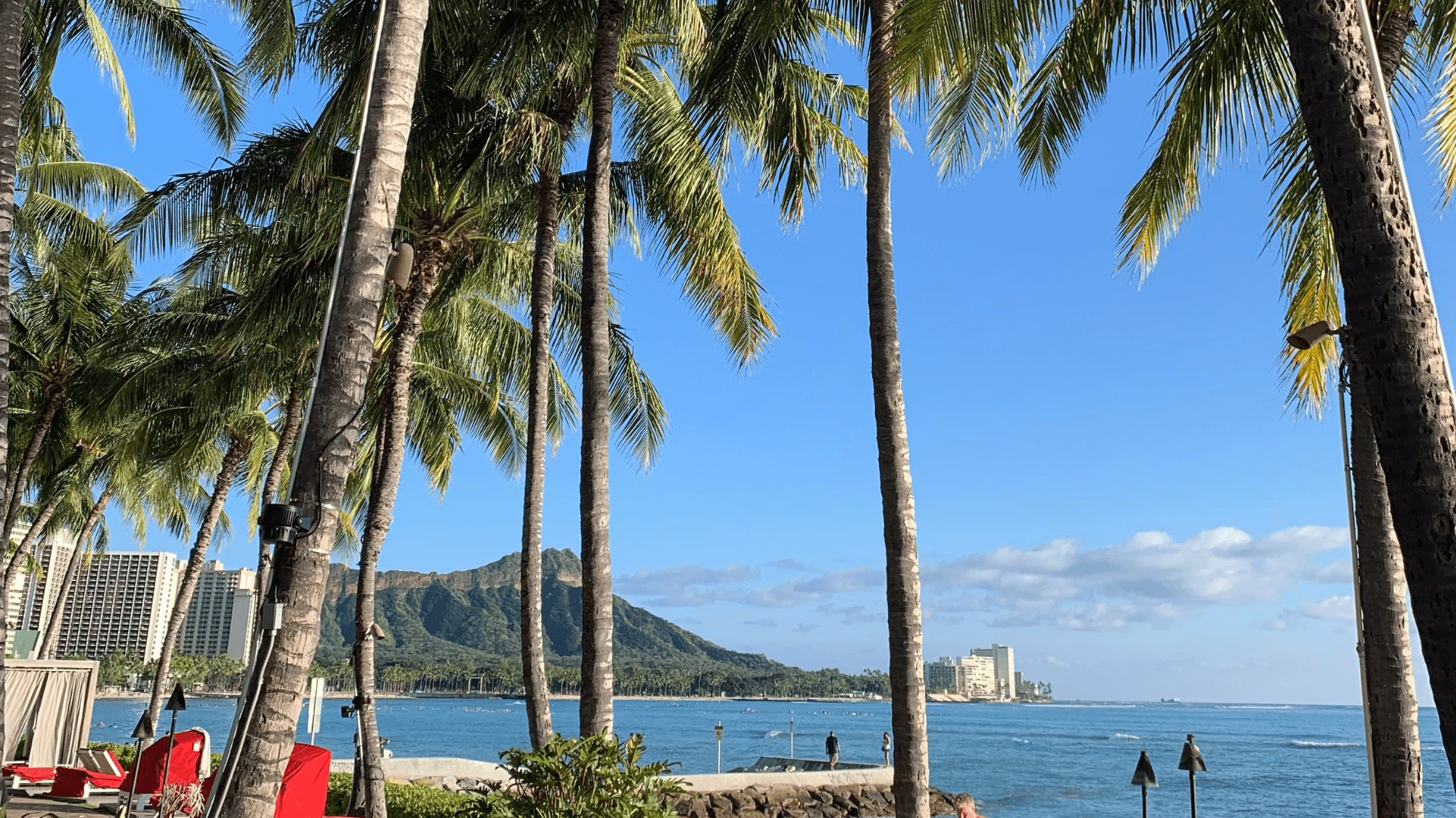 view of hawaii and the ocean and palm trees over the blue waters