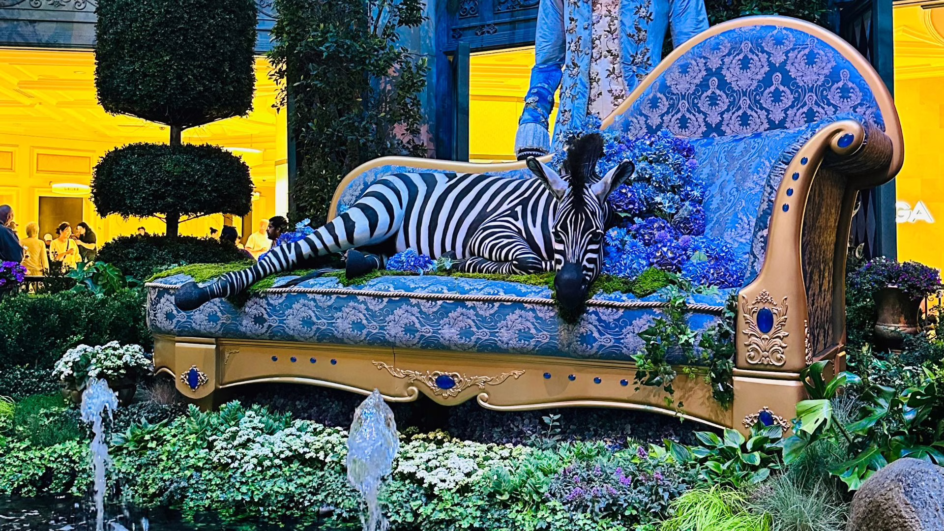 A Zebra laying on the sofa in the Bellagio Gardens in Las Vegas.